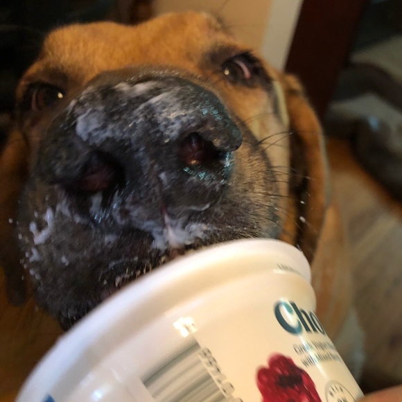 Meet your Posher, Brad - Picture 1 of 1